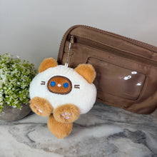 Load image into Gallery viewer, Bundled Set - Remi + Pom Pom Cat