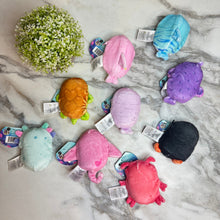 Load image into Gallery viewer, Bubble Stuffed Squishy Friends Toy - Sea Life Edition