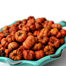 Load image into Gallery viewer, Essential Oil Mini Pumpkin Potpourri - Oily BlendsEssential Oil Mini Pumpkin Potpourri