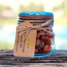 Load image into Gallery viewer, Spiced Pumpkin Mix in Jars - Oily BlendsSpiced Pumpkin Mix in Jars