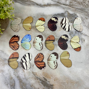 Bookmark - Small Butterfly Magnetic Mix