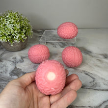 Load image into Gallery viewer, Squishy Toy - Brains
