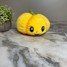 Load image into Gallery viewer, Moody Animals - Pumpkins, Ghost, Dog, &amp; Cat
