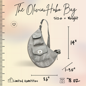 Olivia Hobo Bag - Denim Suede