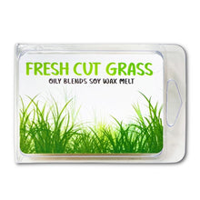 Load image into Gallery viewer, Summer 3 oz Wax Melts - Oily BlendsSummer 3 oz Wax Melts
