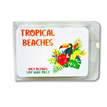 Load image into Gallery viewer, Summer 3 oz Wax Melts - Oily BlendsSummer 3 oz Wax Melts
